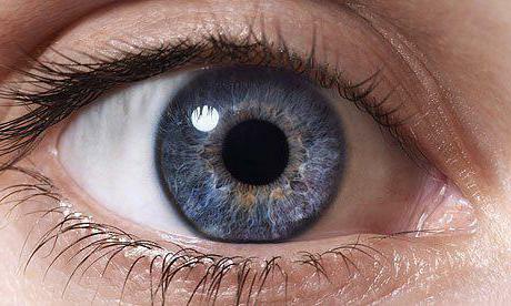 intressanta fakta om syn och ögon